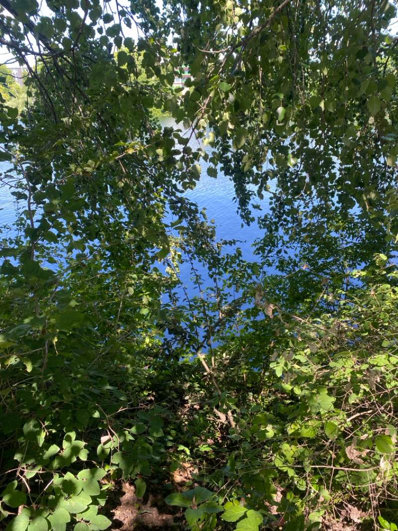 walking near me in Square du Souvenir Français in summer