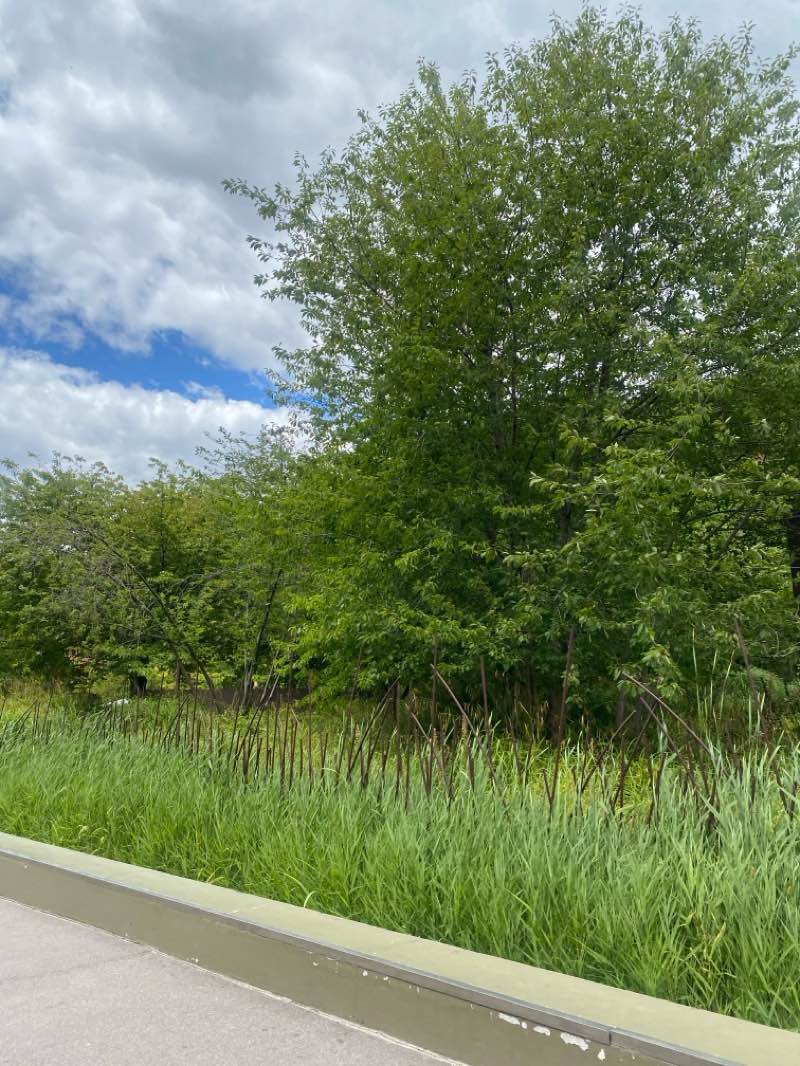 walking near me in Parc de la Folie Saint-James in summer