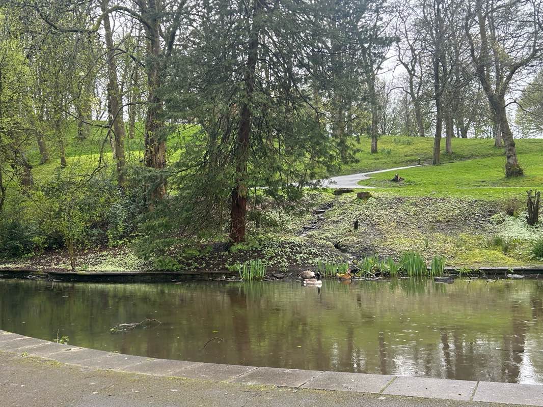 walking near me in Hopwood Park in spring