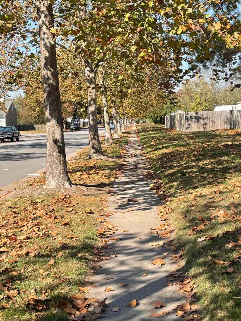 walking near me in Rosemont Forest West Park in winter
