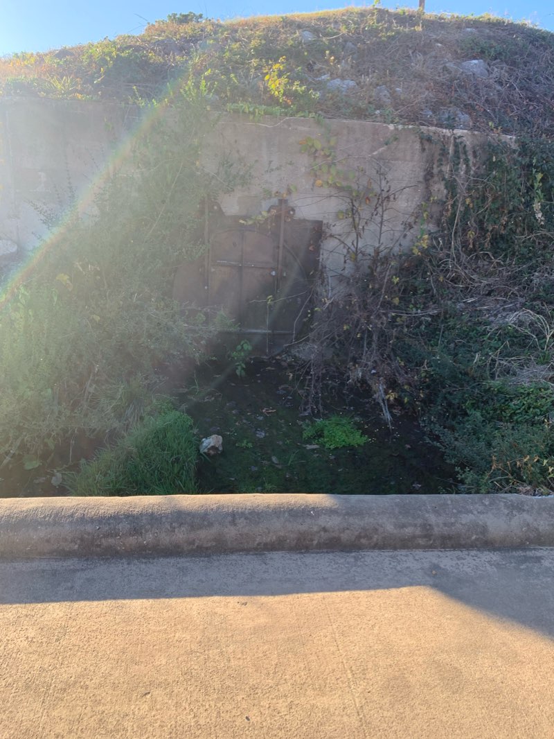 walking near me in Minnie Harris Park in winter