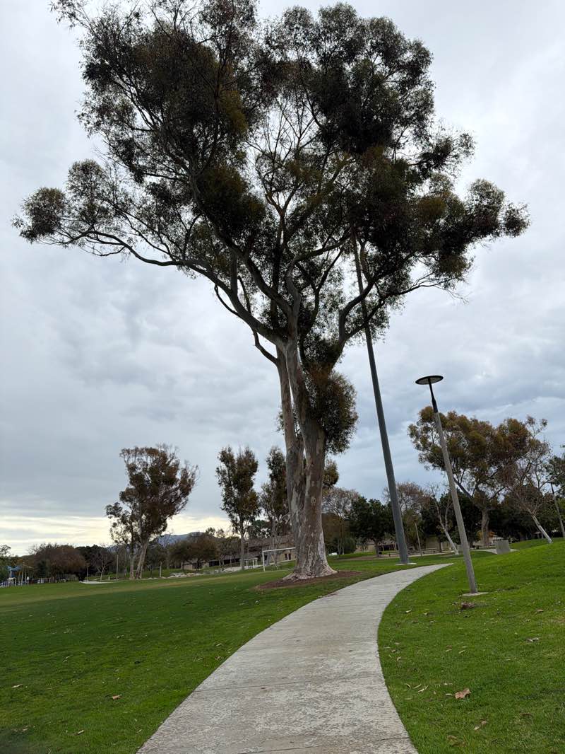 walking near me in Heritage Park in winter