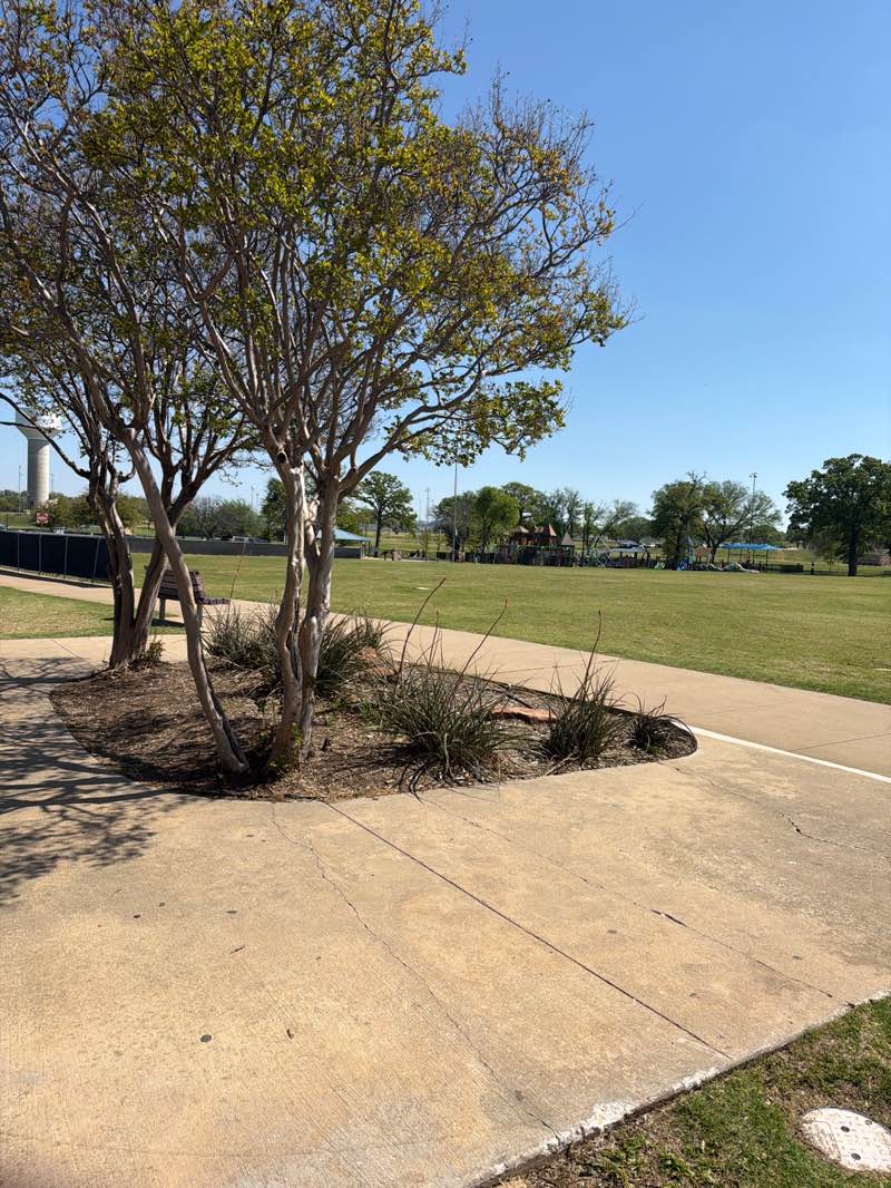 walking near me in Unity Park in spring