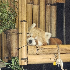 Melrose 😌 profile