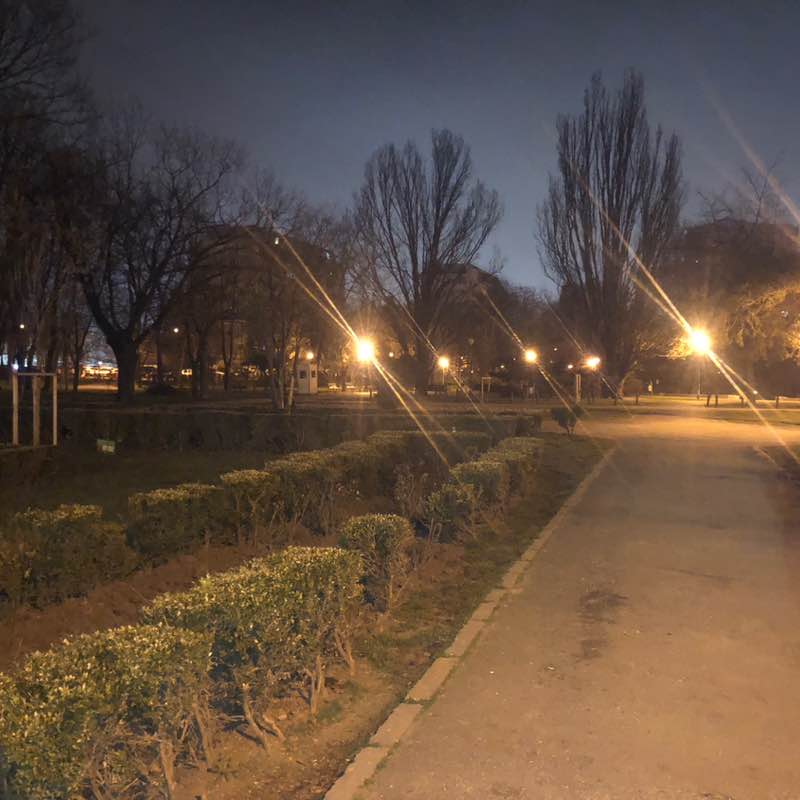 Traian-Dinu Pasatoiu post 1