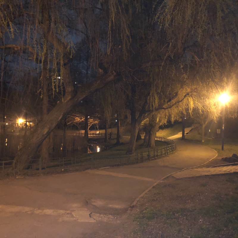 Traian-Dinu Pasatoiu post 1