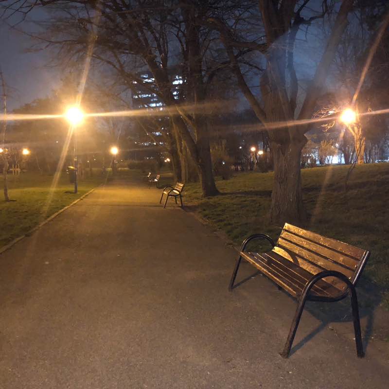 Traian-Dinu Pasatoiu post 1