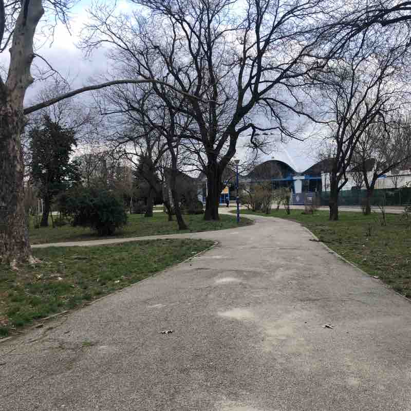 Traian-Dinu Pasatoiu post 1