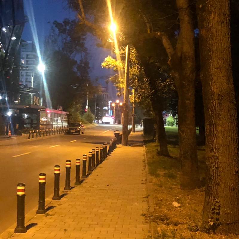 Traian-Dinu Pasatoiu post 1