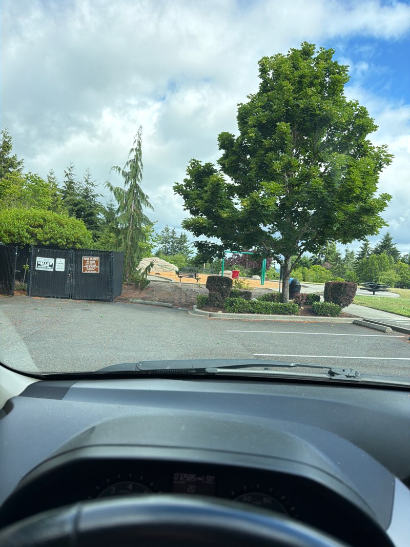 walking near me in Dorothy Bothell Park in summer