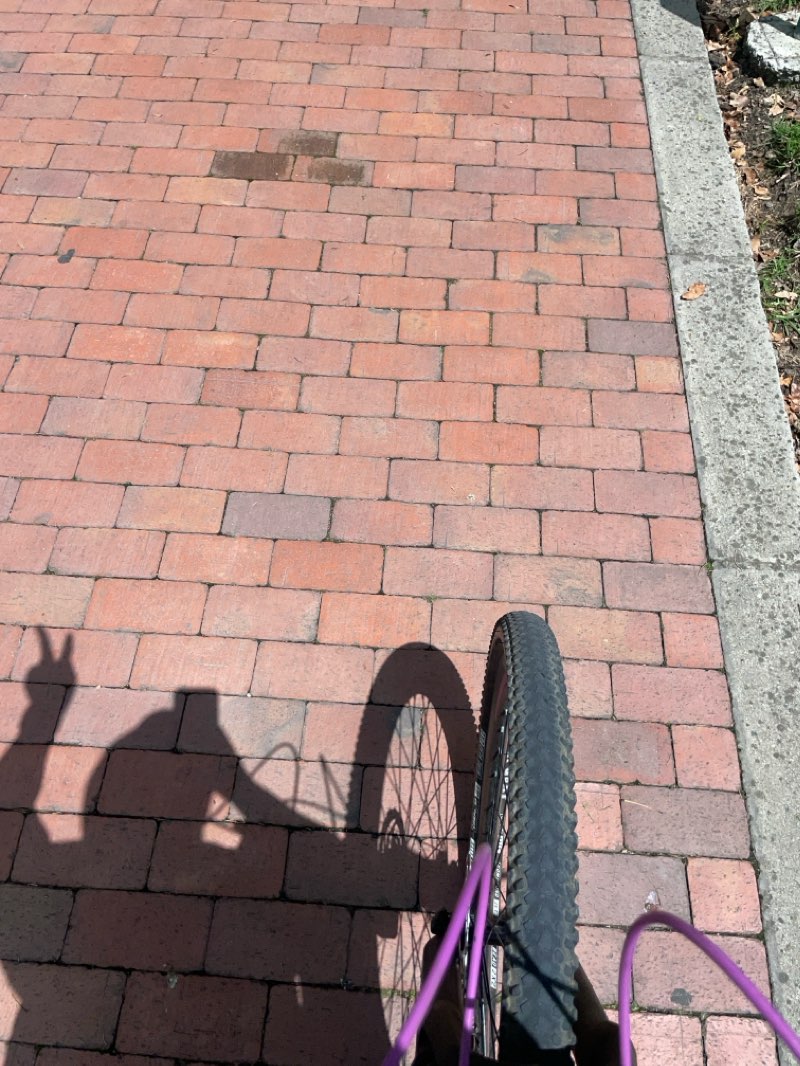 walking near me in Parque Virgilio Barco in winter