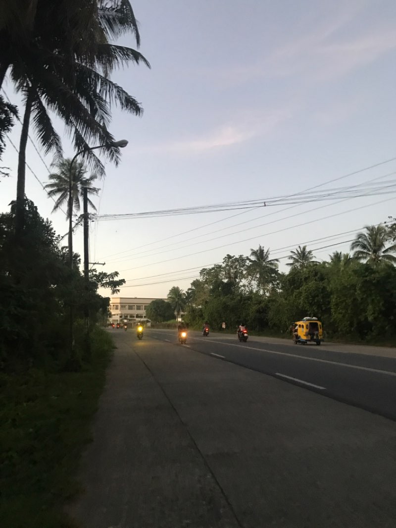 walking near me in Freedom Park in winter