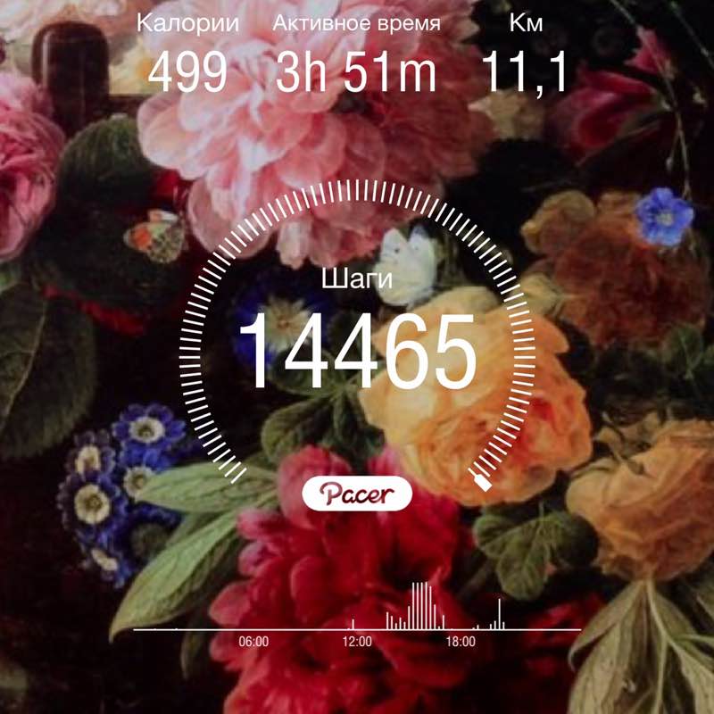 Natali🤍💙❤️🌷🐶 post 1