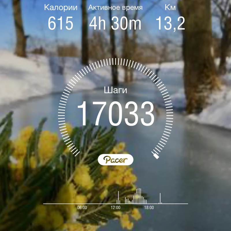 Natali🤍💙❤️🌷🐶 post 1