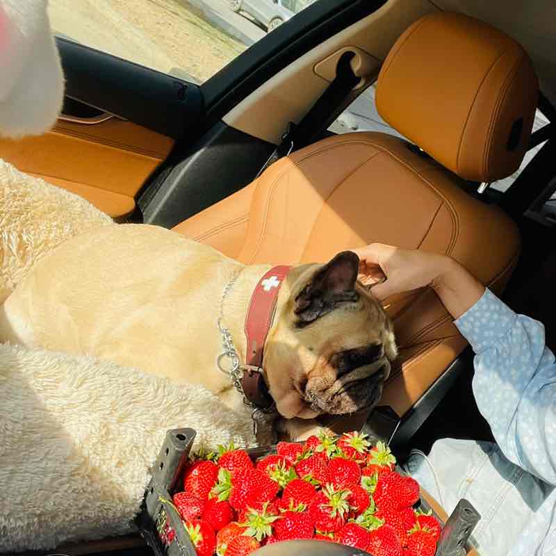 Natali🤍💙❤️🌷🐶 post 2