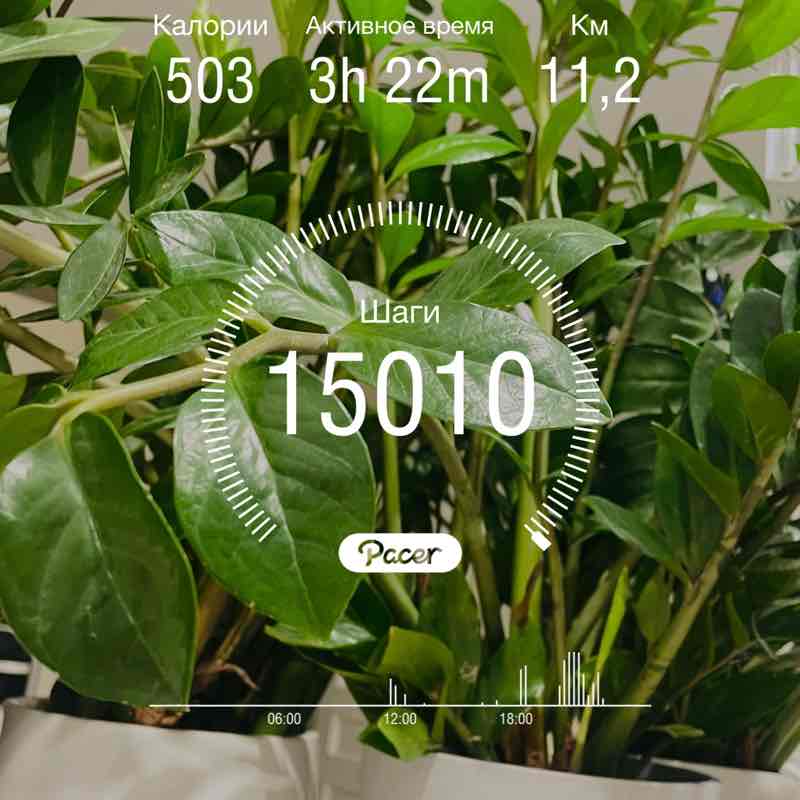 Natali🤍💙❤️🌷🐶 post 1