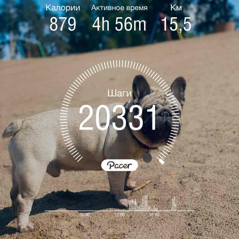 Natali🤍💙❤️🌷🐶 post 1