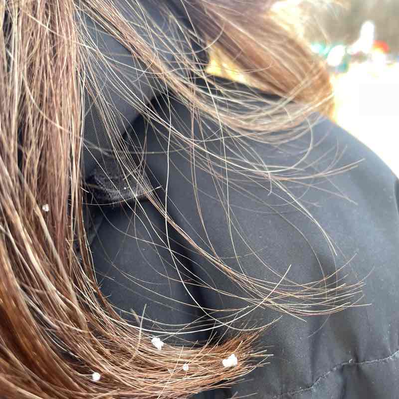 Mary Doughty Dwyer post 1