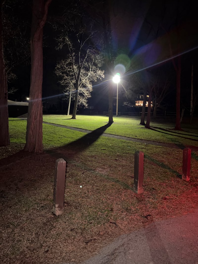 walking near me in Egypt Park in winter