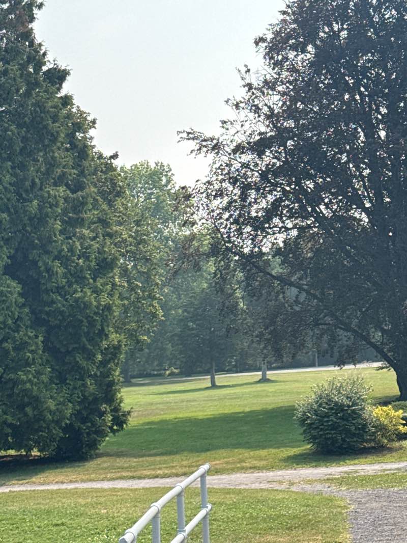 walking near me in Perkins Park in autumn