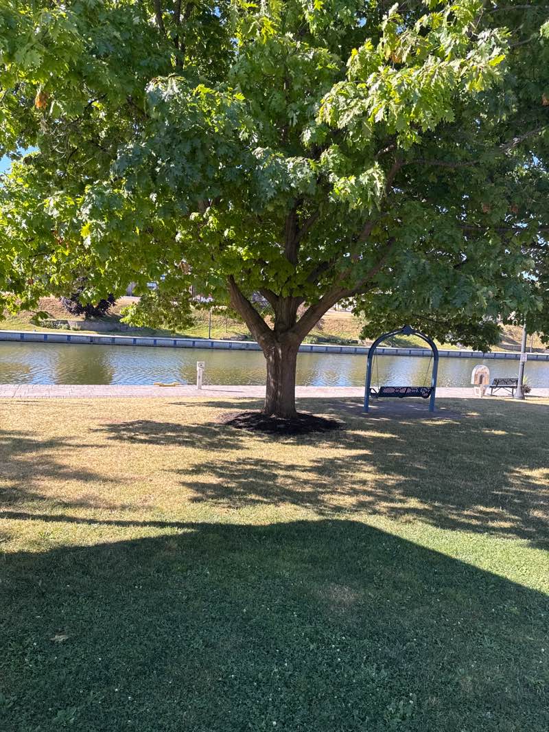 walking near me in T. Spencer Knight Canal Park in autumn