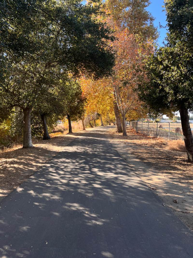 walking near me in Cottonwood Park in winter