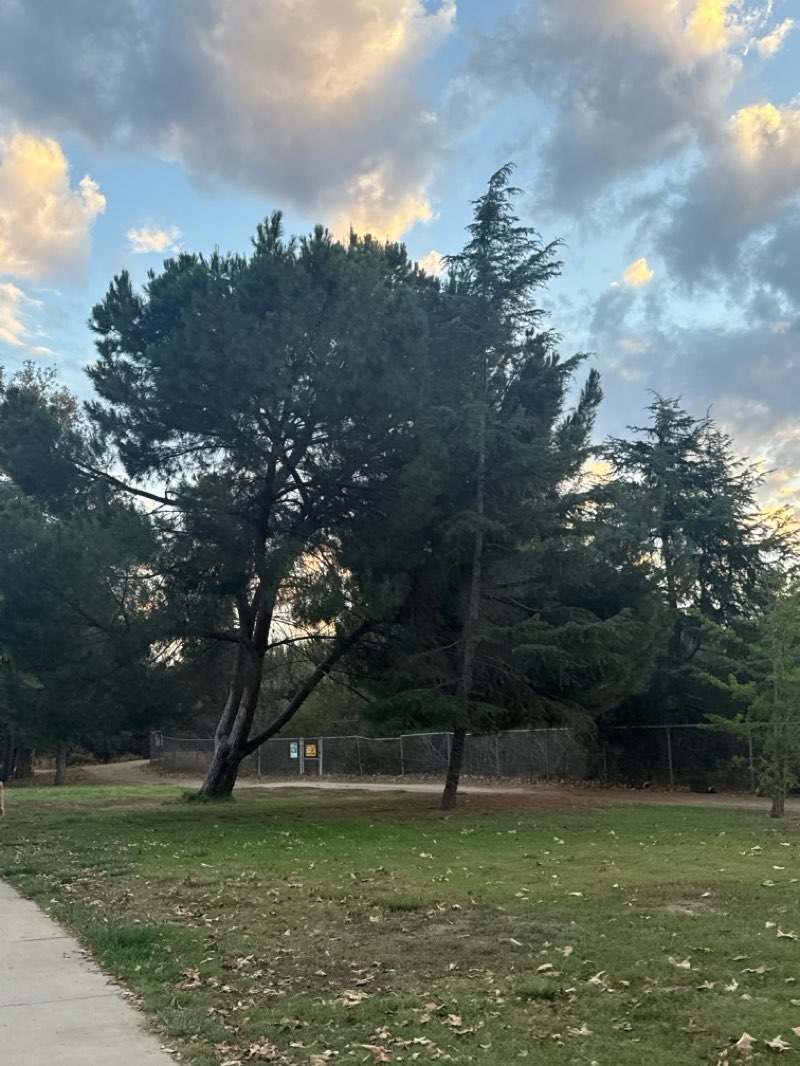 walking near me in Sepulveda Basin Recreation Area in autumn