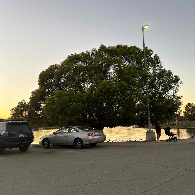 Marigirl March post 1