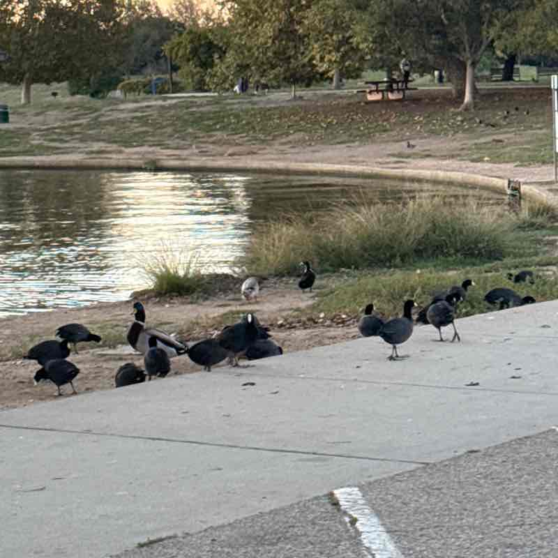 Marigirl March post 3