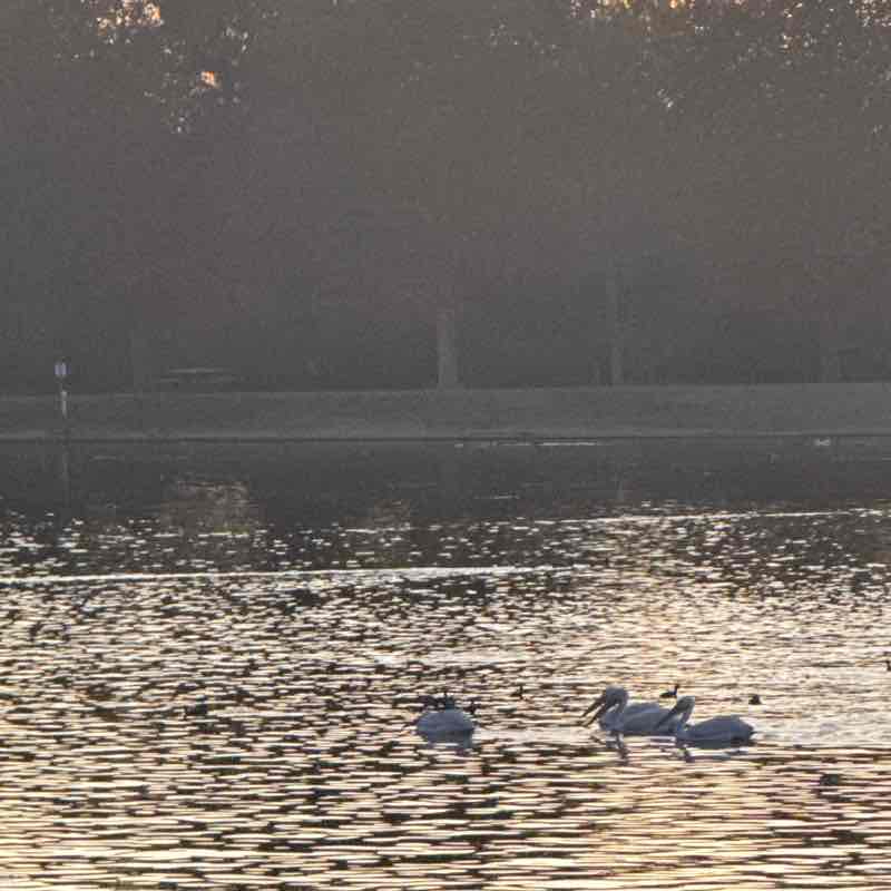 Marigirl March post 3