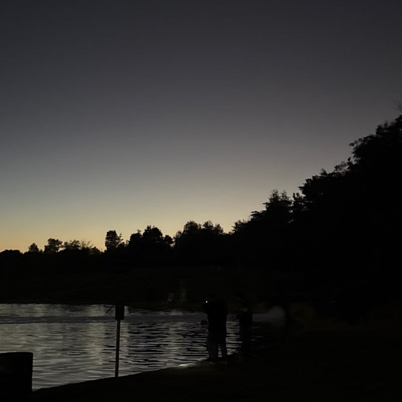 Marigirl March post 1