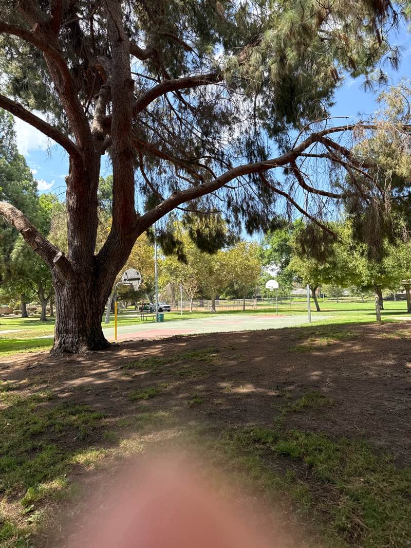 walking near me in Eucalyptus Park in autumn