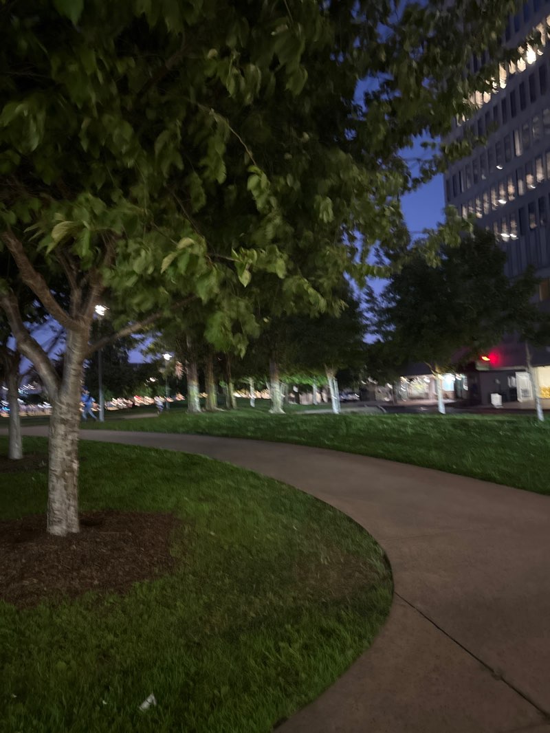 walking near me in Sue Bierman Park in autumn