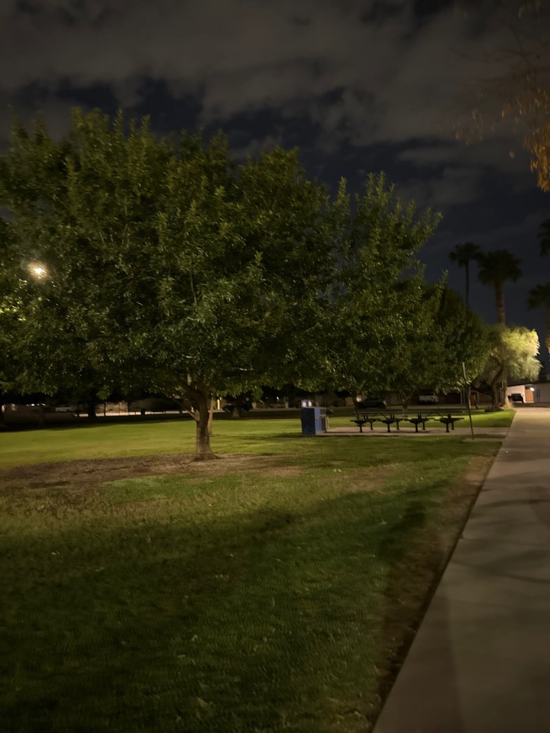 walking near me in Meyer Park in autumn