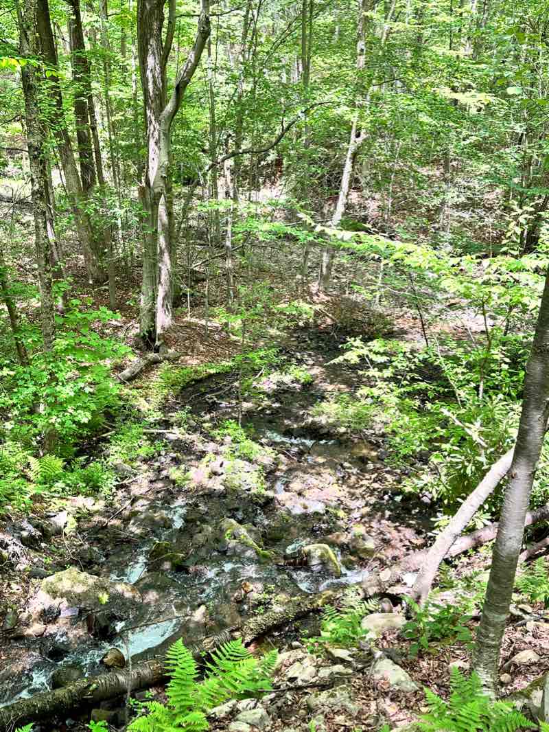 walking near me in State Game Lands Number 221 in winter