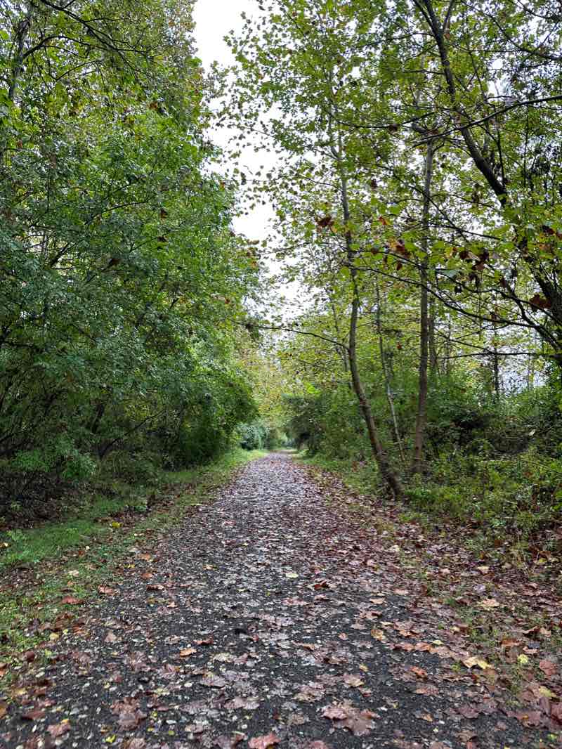 walking near me in Giving Pond Recreation Area in winter