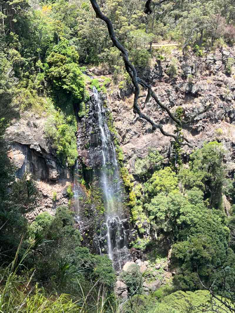 walking near me in Lamington National Park in summer