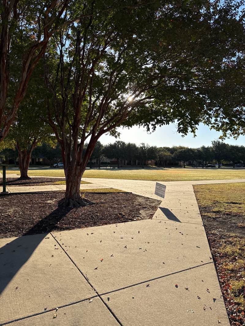 walking near me in Lost Creek Park in autumn