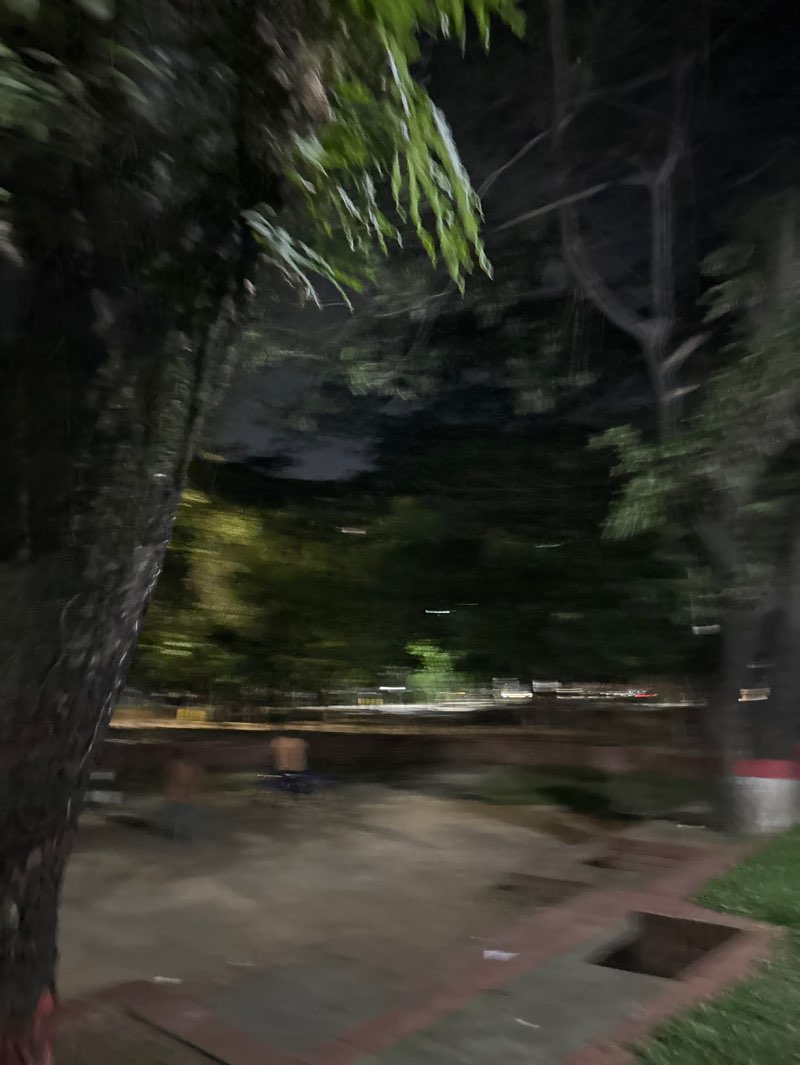 walking near me in Sector 7 Park in autumn