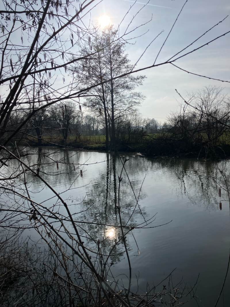 walking near me in Naturerlebnisweg Vilsaue in winter