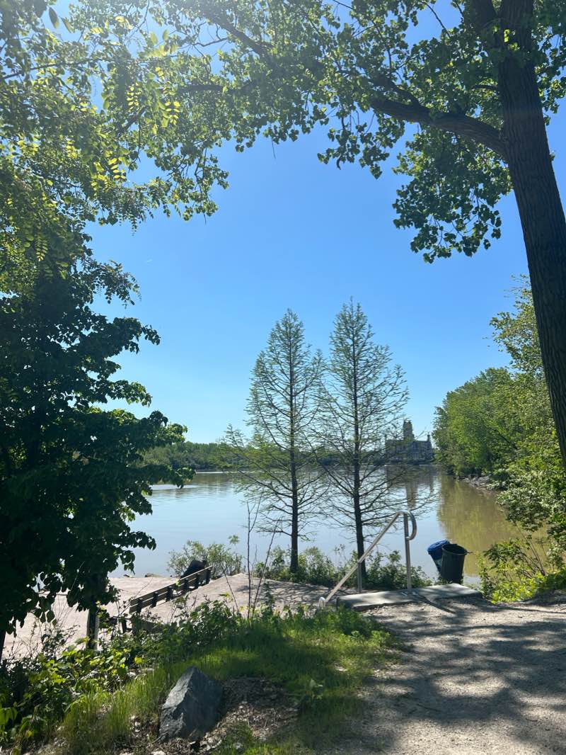 walking near me in Boeschenstein Park in winter