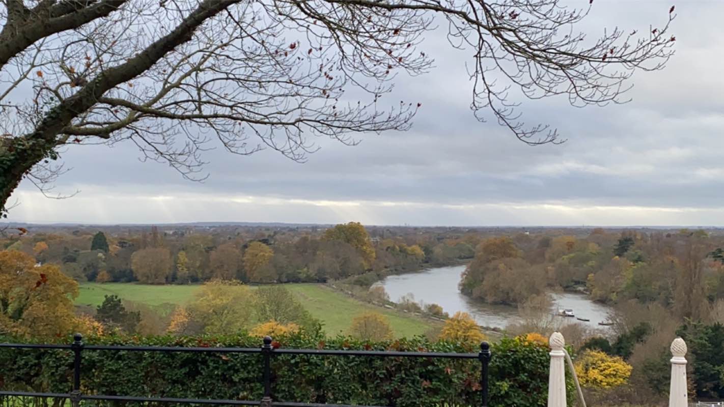 walking near me in Rotary Gardens in winter