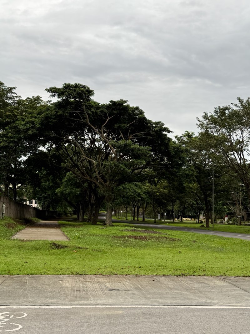 walking near me in Wind-chime Park in autumn