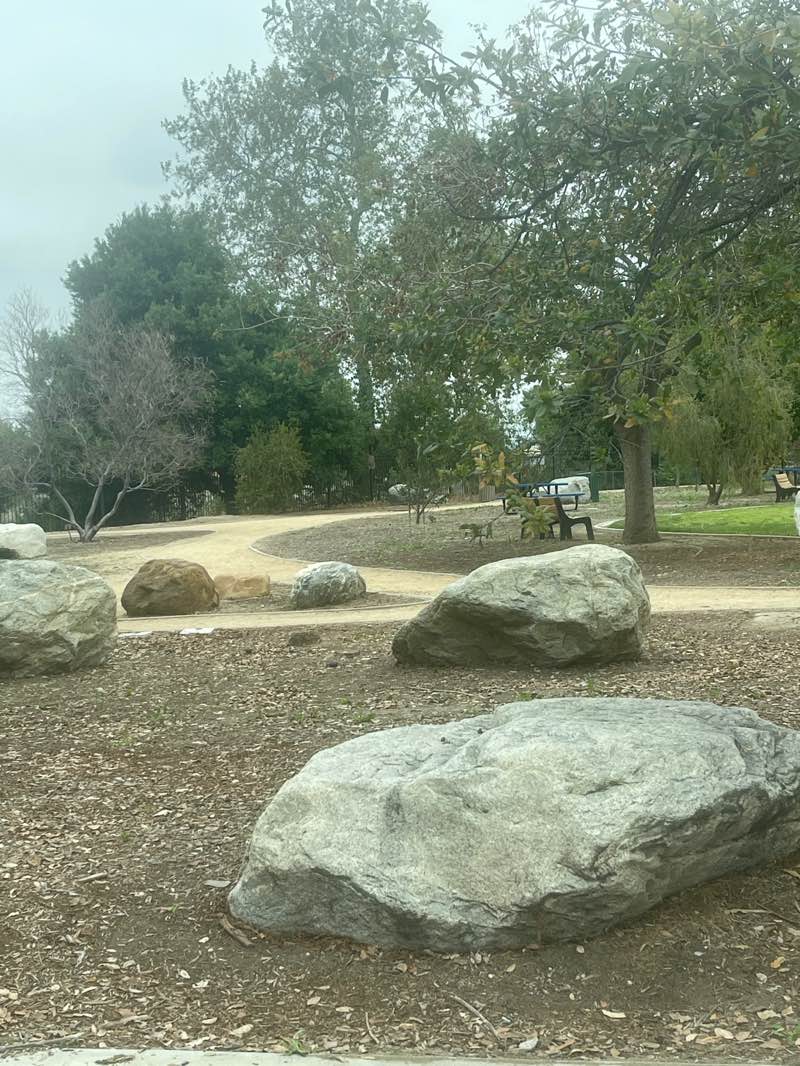 walking near me in Wilderness Basin Park in spring