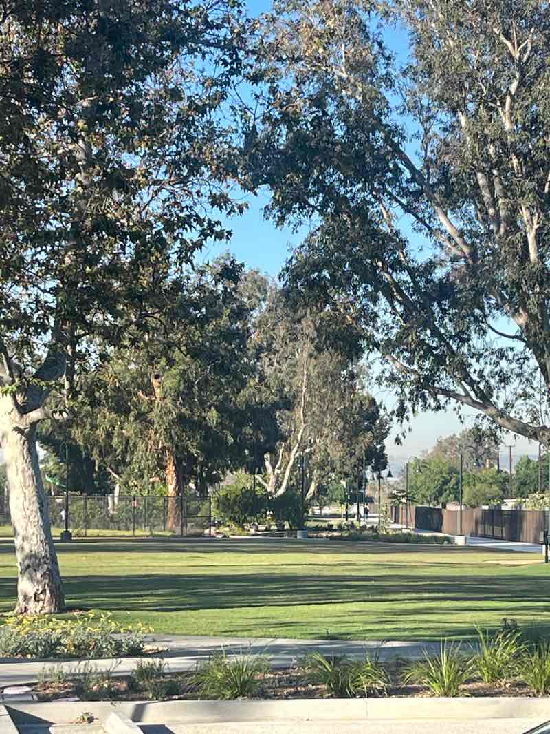 walking near me in Sunset Park in spring