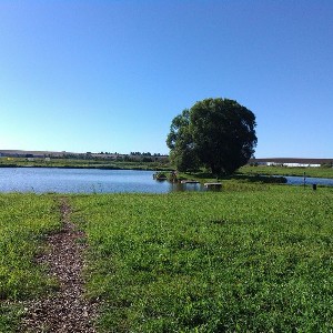 Andrei Ostrogin 🔥 profile