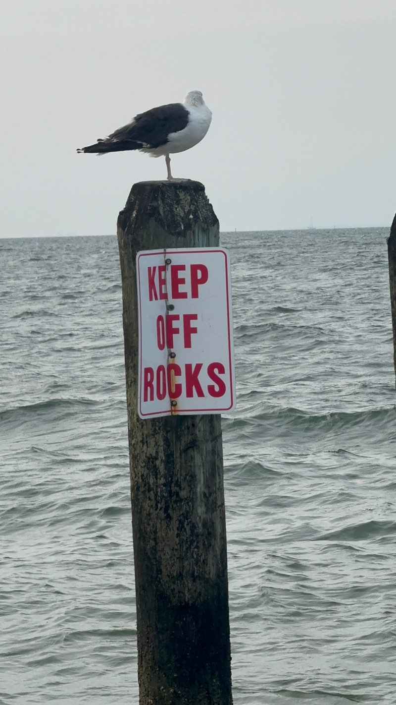 walking near me in Buckroe Beach and Park in summer