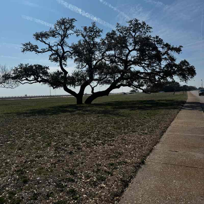 Daniel Johnson post 1