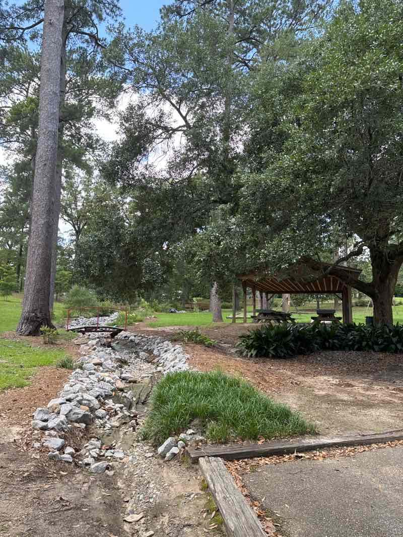 walking near me in Mason Memorial Park in spring