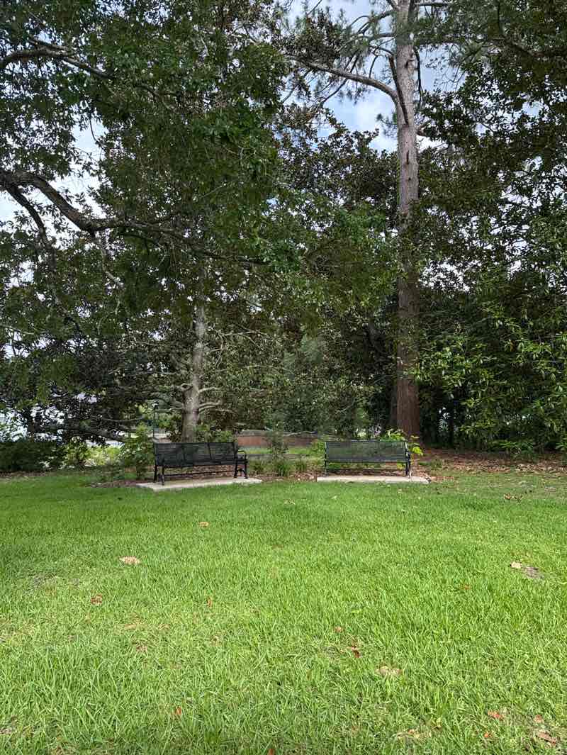 walking near me in Euclid Park in summer